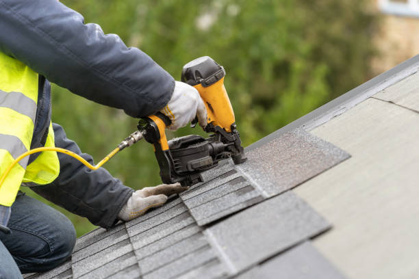 Best Roof Leak Repair  in Grant, MI