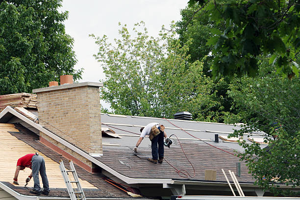 Best Storm Damage Roof Repair  in Grant, MI