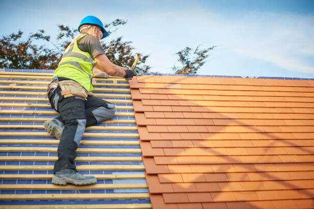 Best Solar Panel Roofing Installation  in Grant, MI